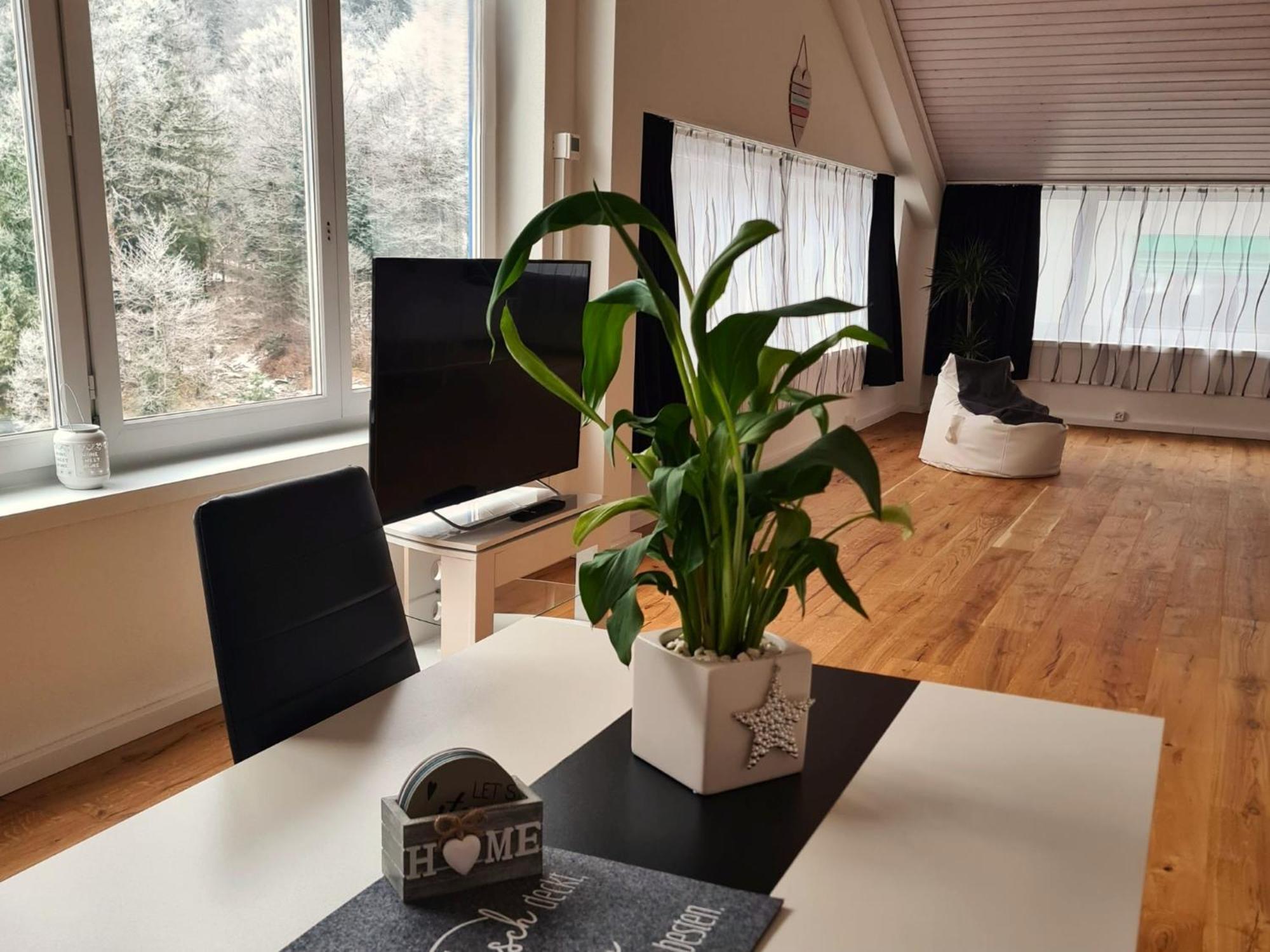 Muota River Loft & Muota Industry Apartment Near Stoos Muotathal Екстериор снимка